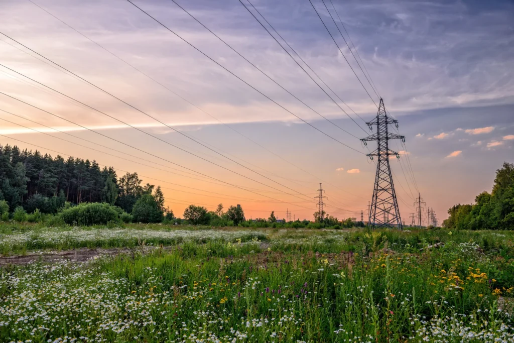 Power lines over a wildflower meadow under a pink sky